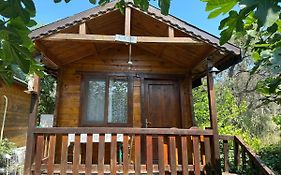 Olimpos Bungalov Apart Apart Otel