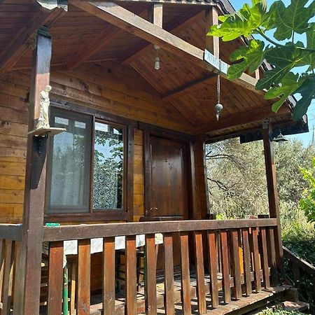 Olimpos Bungalov Apart Apart otel Balikliova Dış mekan fotoğraf
