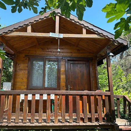 Olimpos Bungalov Apart Apart otel Balikliova Dış mekan fotoğraf