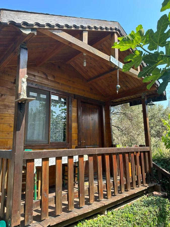 Olimpos Bungalov Apart Apart otel Balikliova Dış mekan fotoğraf
